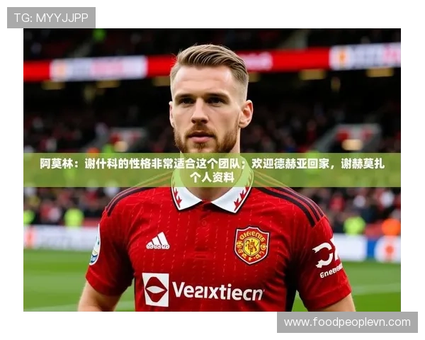 九游娱乐官网不莱梅赞助商对球队形象塑造和粉丝互动的具体促进作用