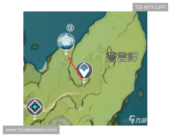 九游娱乐网址登录线路最新优化方案确保玩家顺畅体验的详细指南